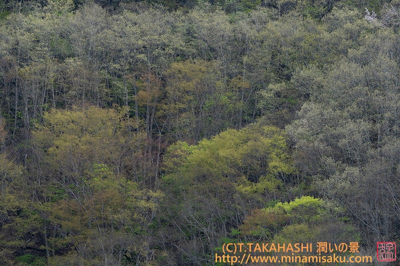 ../Images/7R250505 (12).jpg